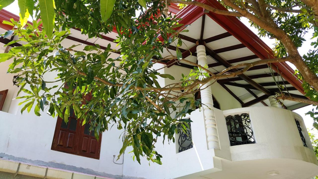 New Chili Lodge Mirissa Dış mekan fotoğraf