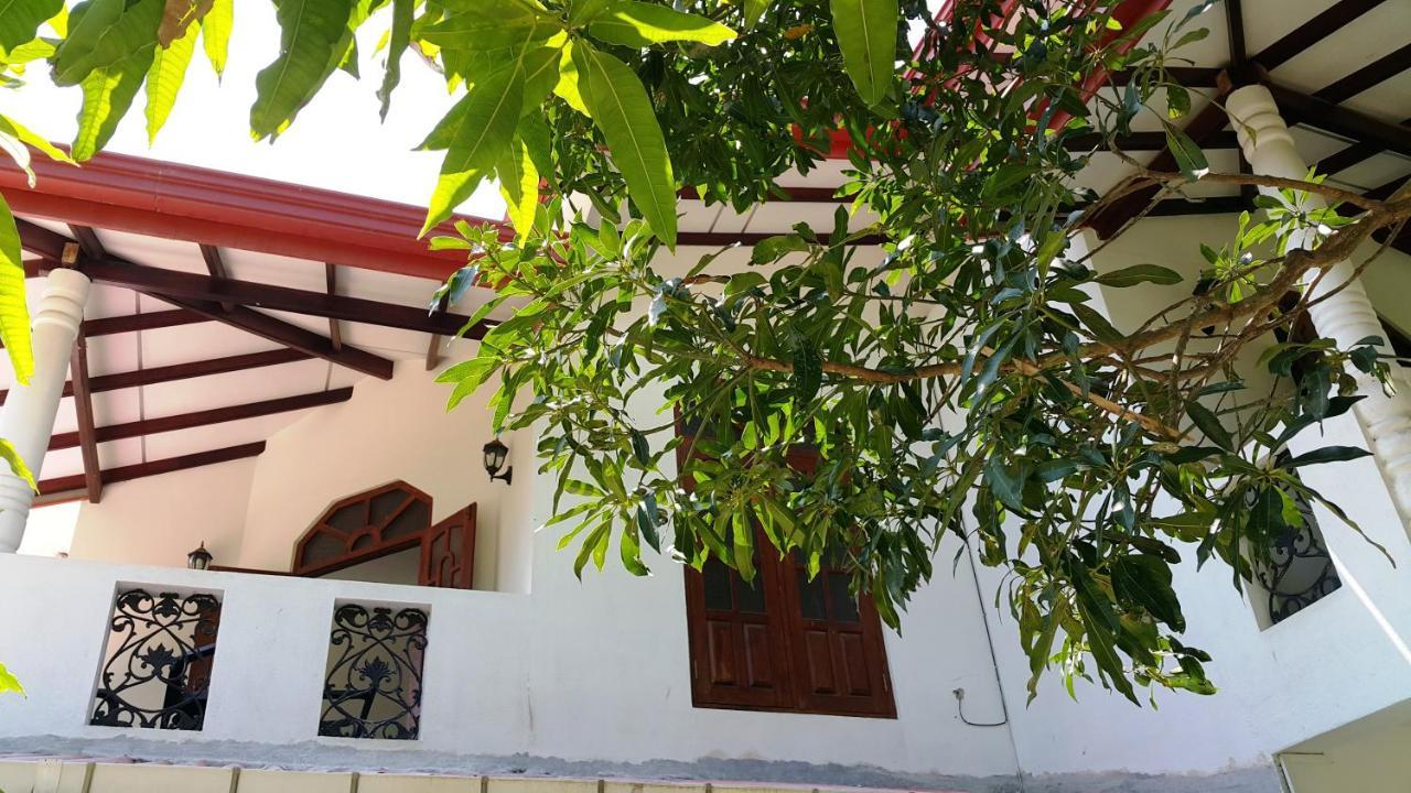 New Chili Lodge Mirissa Dış mekan fotoğraf