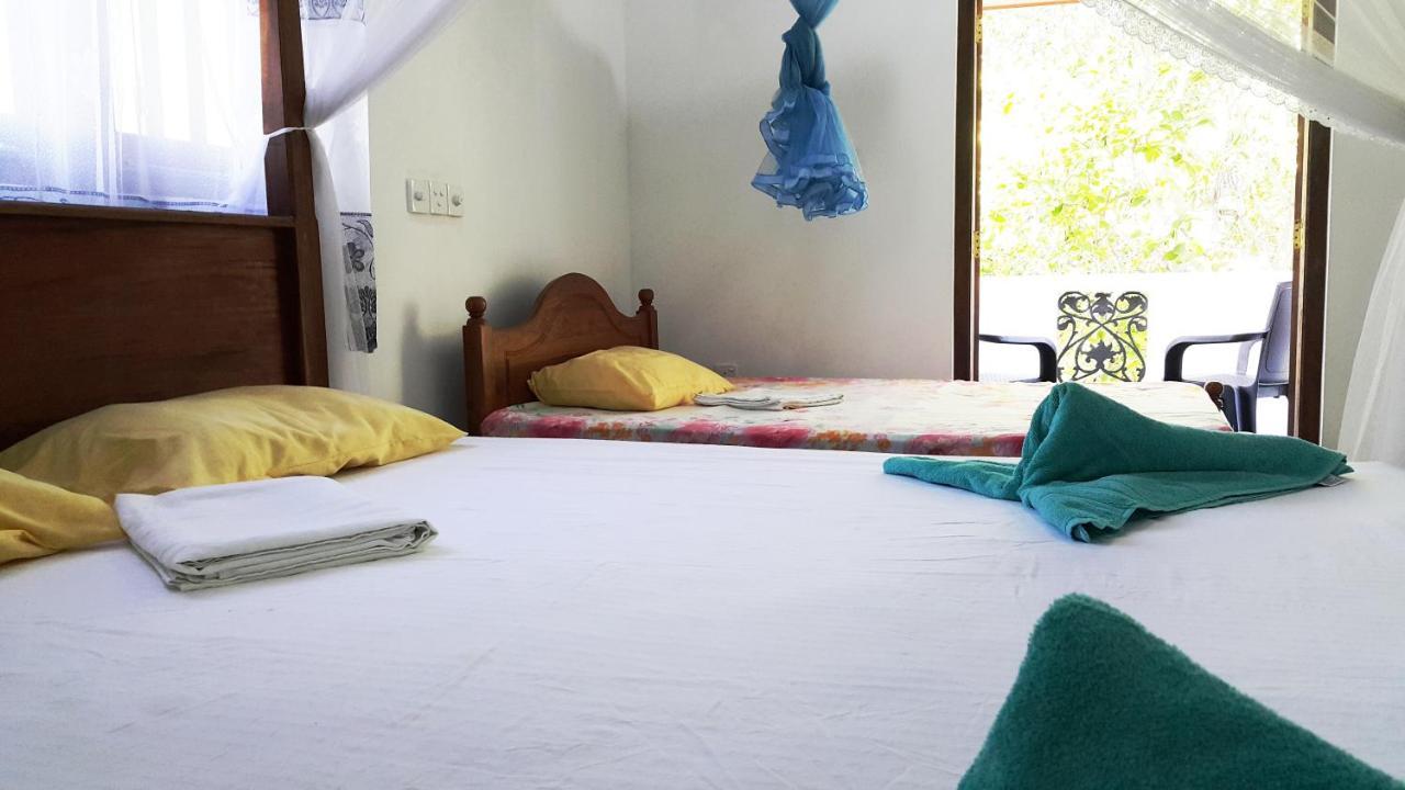 New Chili Lodge Mirissa Dış mekan fotoğraf